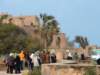 dscf6391_small.jpg
