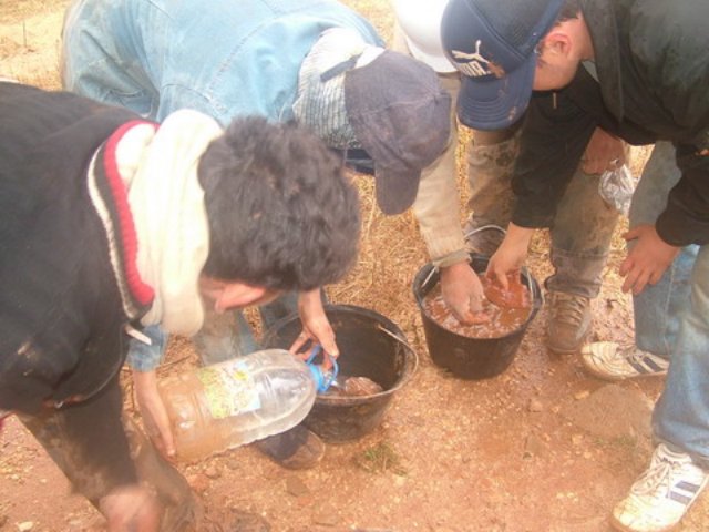 photo13.jpg