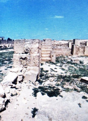 photo.jpg