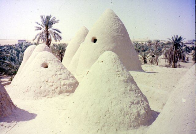 photo18.jpg