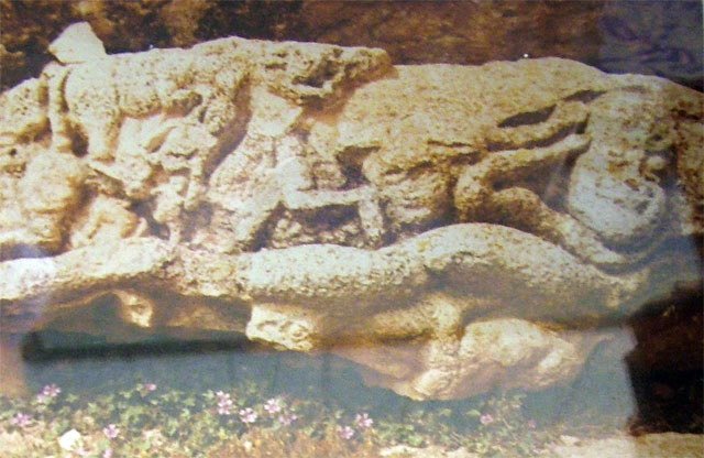 photo8.jpg