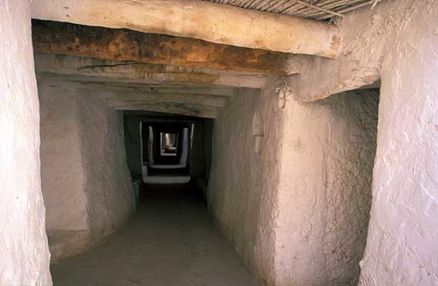 photo.jpg