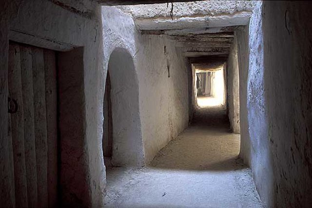 photo11.jpg