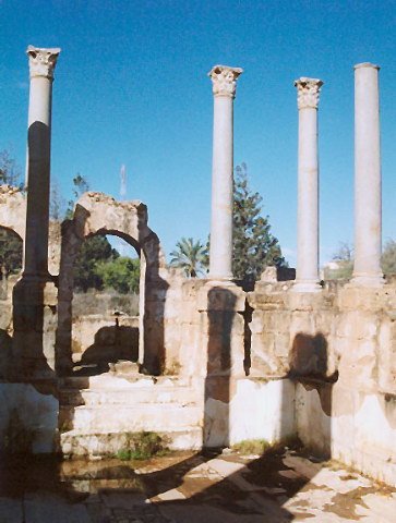 photo24.jpg