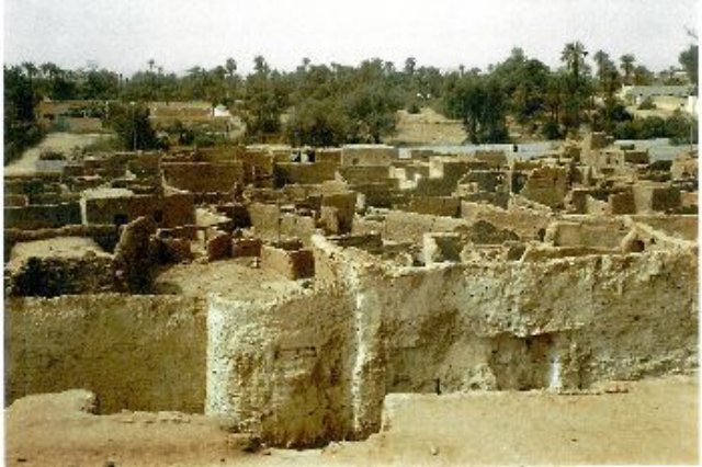 photo.jpg