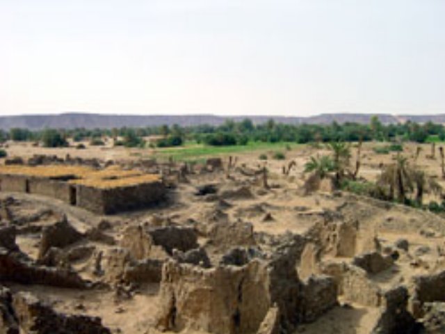 photo23.jpg