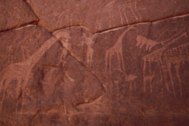 photo15.jpg