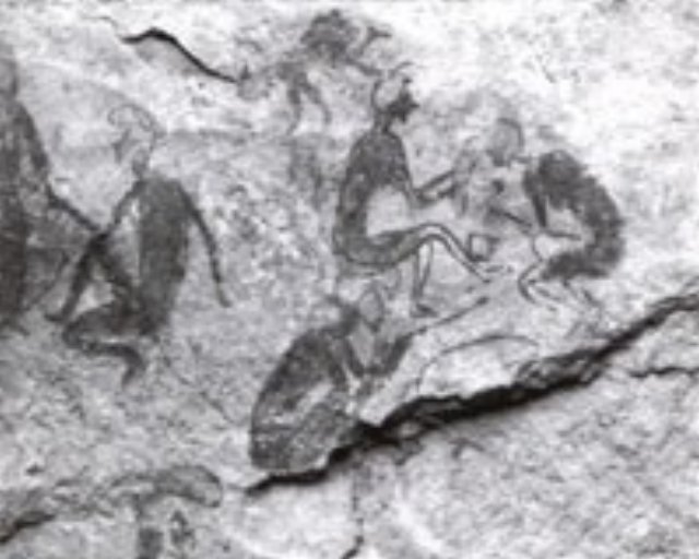 photo17.jpg
