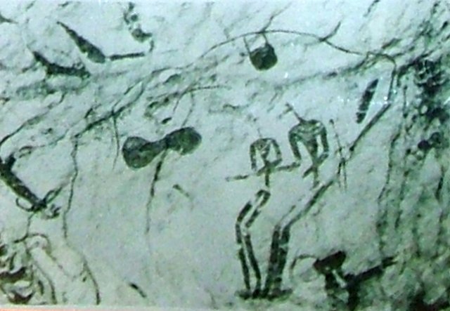 photo24.jpg