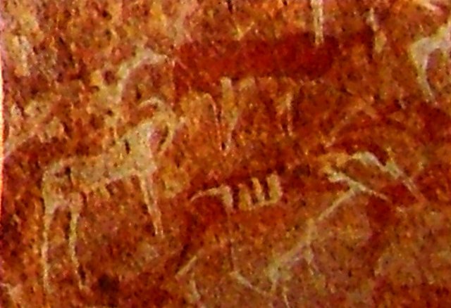 photo28.jpg