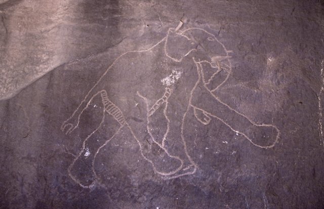 photo47.jpg
