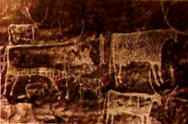 photo5.jpg