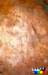 photo61_small.jpg