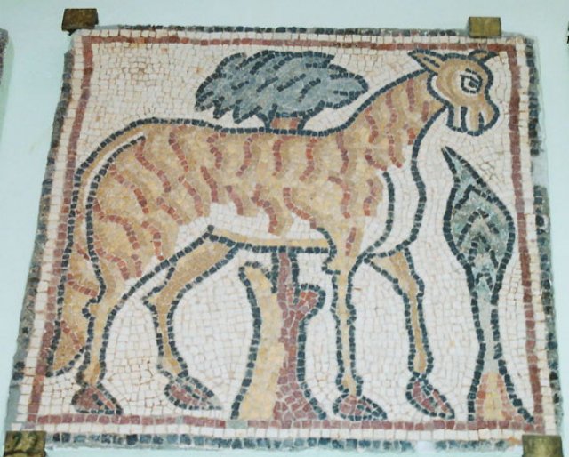 photo19.jpg