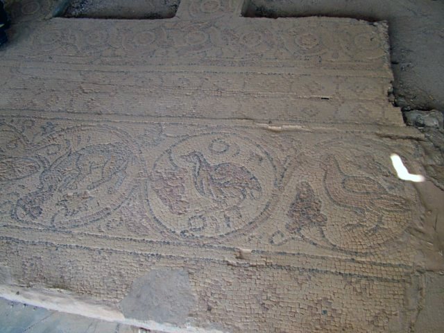 photo24.jpg