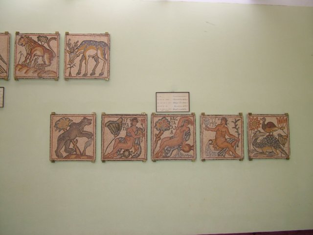 photo31.jpg