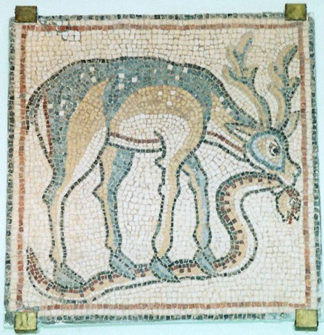 photo5.jpg