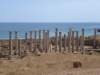 dsc01968_small.jpg
