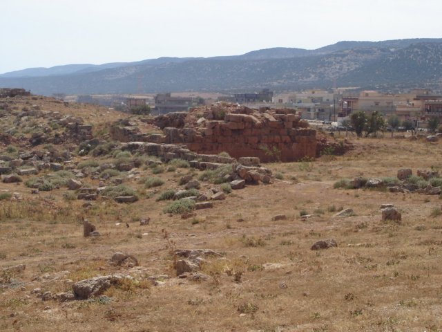 dsc01969.jpg