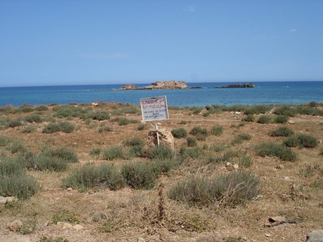 dsc01979.jpg
