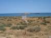dsc01979_small.jpg