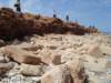 dsc01986_small.jpg