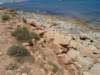 dsc01988_small.jpg