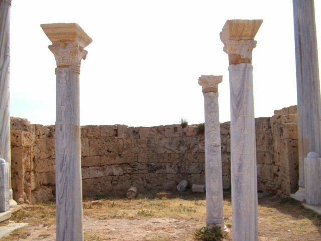 dscf8609.jpg