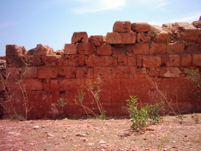 photo11.jpg