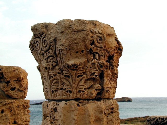 photo40.jpg