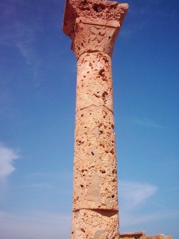 photo5.jpg