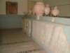 photo53_small.jpg