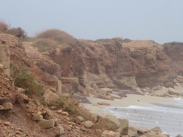 dscf6521.jpg