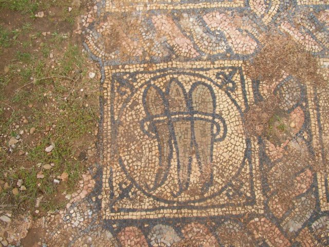 dscf6614.jpg