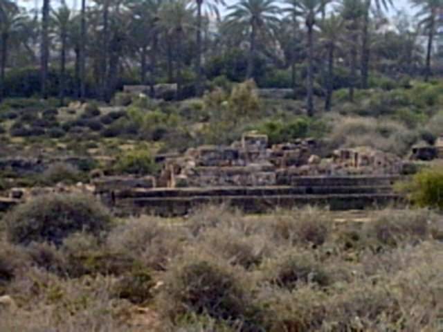 pict0010.jpg
