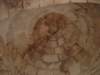 dsc02097_small.jpg