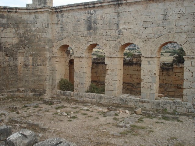 dsc02112.jpg