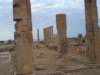 dsc02141_small.jpg