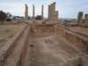 dsc02145_small.jpg