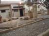 dsc02153_small.jpg