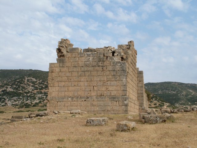 dscf8950.jpg