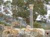 dscf9098_small.jpg