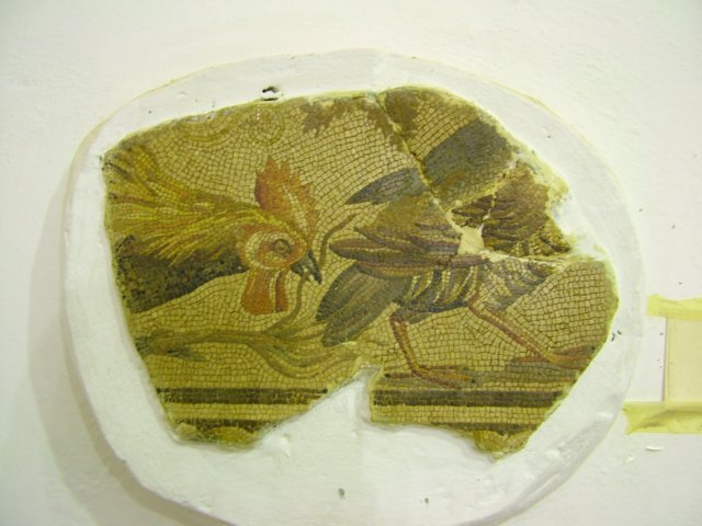 photo15.jpg