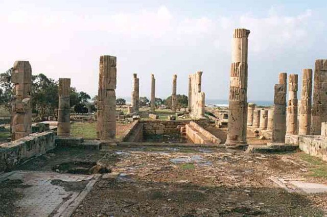 photo4.jpg