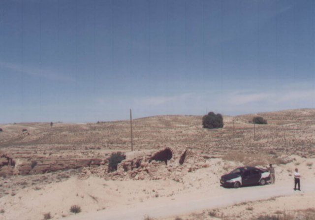 photo14.jpg