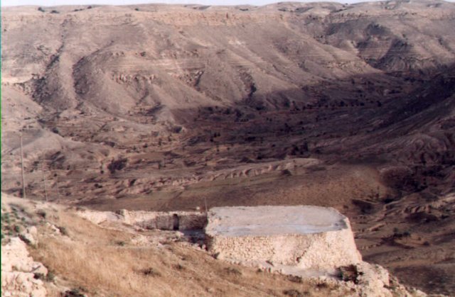 photo16.jpg