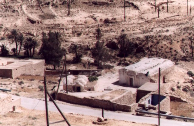 photo21.jpg