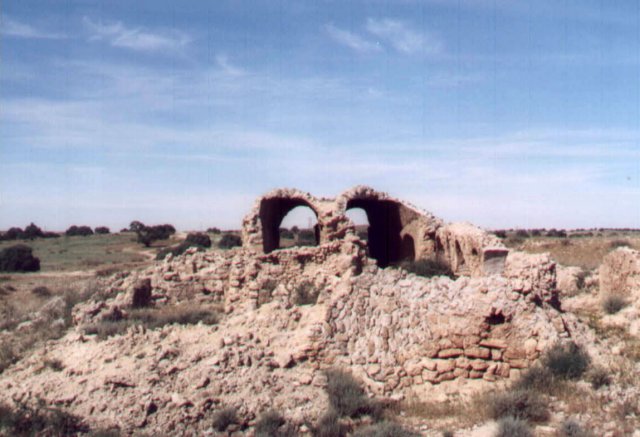 photo4.jpg
