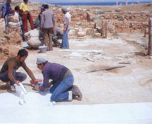 photo3.jpg